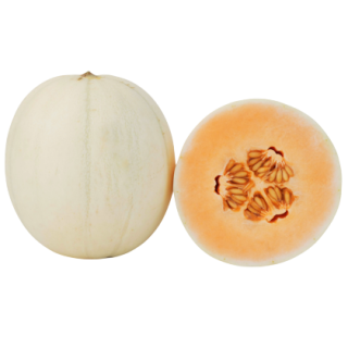 Sweetie Muskmelon From  Known You Seed (India)-KYI